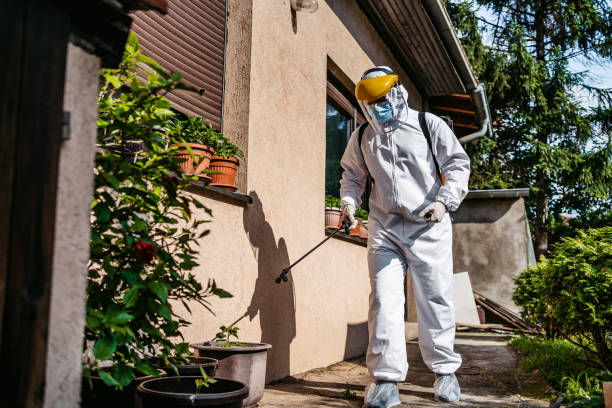 Best Affordable Pest Control Services  in Caledonia, MS