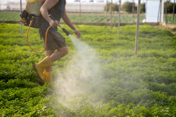 Professional Pest Control in Caledonia, MS