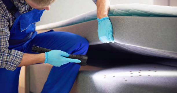 Best Termite Control Services  in Caledonia, MS